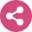Share Icon
